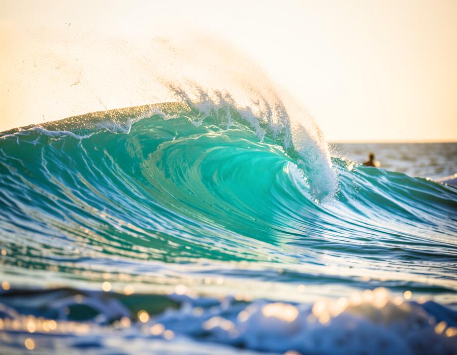 Surfboard standing in beach grass at sunrise